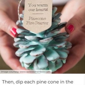 Scented pinecone